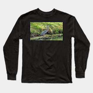 Great Blue Heron Long Sleeve T-Shirt